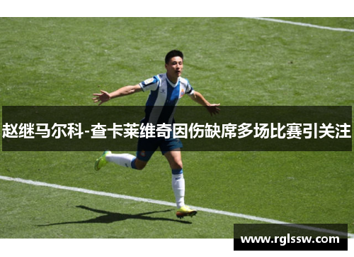 赵继马尔科-查卡莱维奇因伤缺席多场比赛引关注