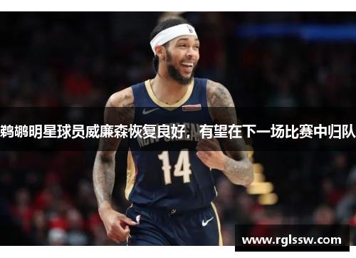 鹈鹕明星球员威廉森恢复良好，有望在下一场比赛中归队